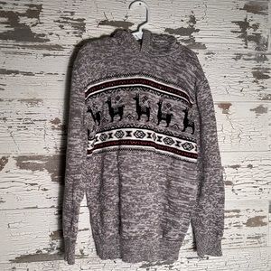 Boys hooded winter sweater